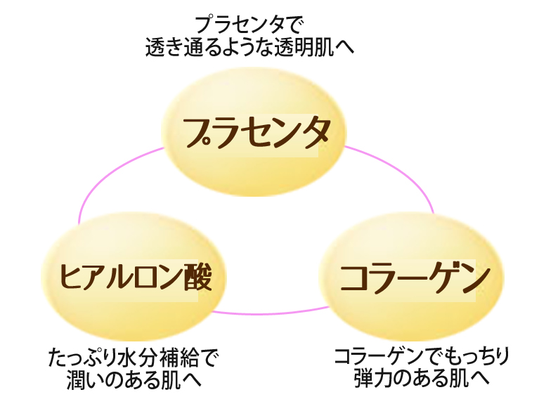 本格健康リンパコース