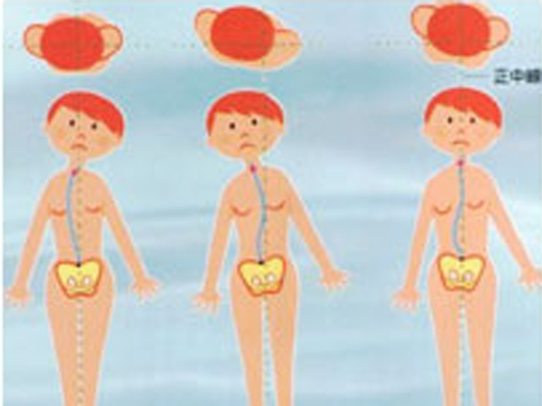 本格健康リンパコース